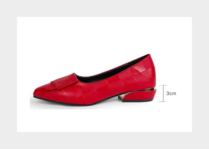 Doamnelor Designer Pointed Toe Pantofi cu tocuri joase pentru femei din piele(De asemenea, potrivit pentru picioare late)